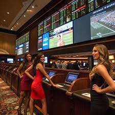 bet317 baixar